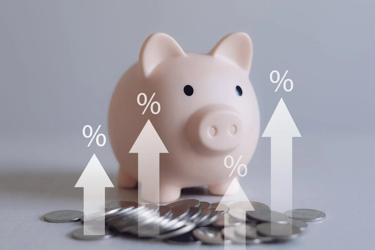 What Is a HISA? A Beginner’s Guide to High-Interest Savings Accounts